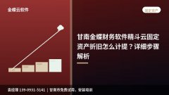 甘南金蝶财务软件<font color=