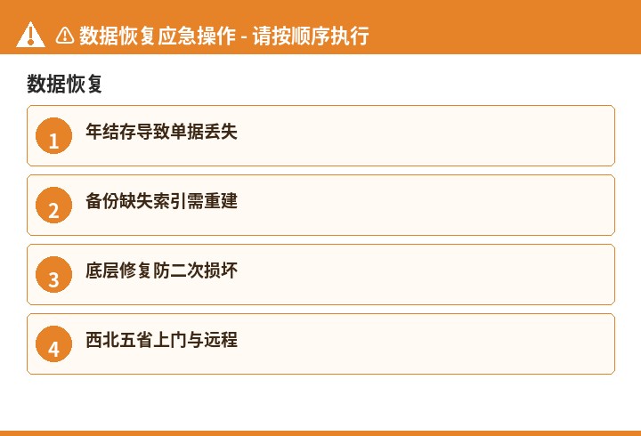 数据恢复数据恢复流程示意图