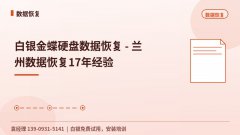 白银金蝶硬盘数据恢复