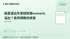 临夏速达年度结账报numeric溢出
