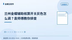 兰州金蝶辅助核算开关灰色怎么调