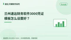 兰州速达财务软件3000凭证模板怎么设置好
