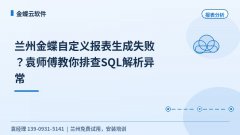 兰州金蝶自定义报表生成失败