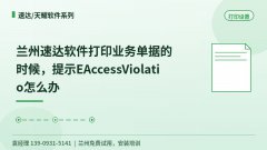 兰州速达打印单据提示EAccessViolation错误怎么办
